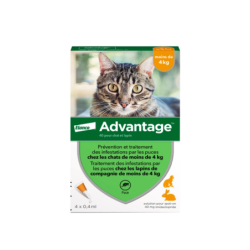 Advantage Chat -...