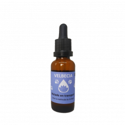 FLEUR DE BACH TRANSPORT 30ML