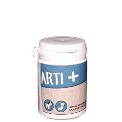 DECISIV'DIET ARTI+ 60 COMP