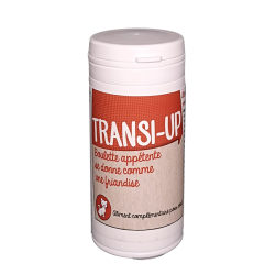 TRANSI-UP CHAT