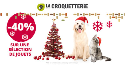 C'est Noël ! -40% sur une sélection de jouets !