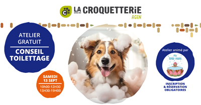 Agen - Conseil Toilettage samedi 13 septembre