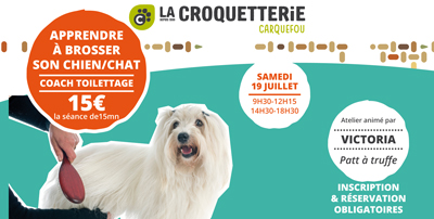 Carquefou - Atelier brossage / coaching toilettage 19 juillet