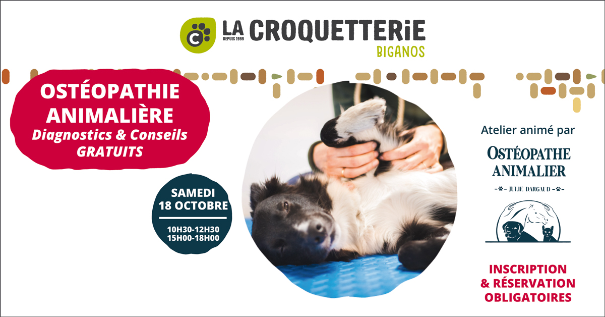 FB CARQUEFOU 07 12 24