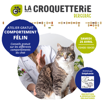 Bergerac - Atelier gratuit Comportement félin samedi 25 avril