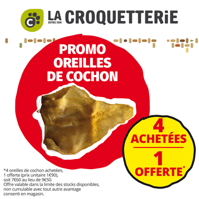 Promo sur les friandises oreilles de cochon en janvier !