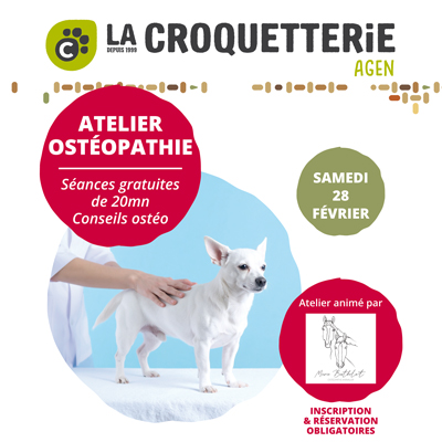 Agen - conseils en ostéopathie animale samedi 28 février