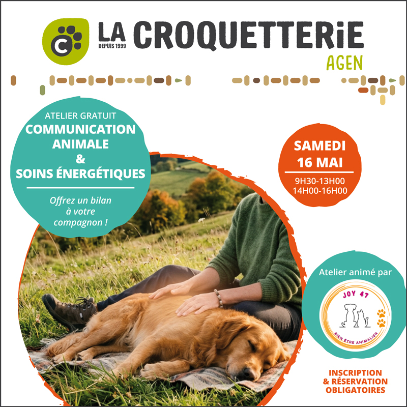 FB CARQUEFOU 07 12 24