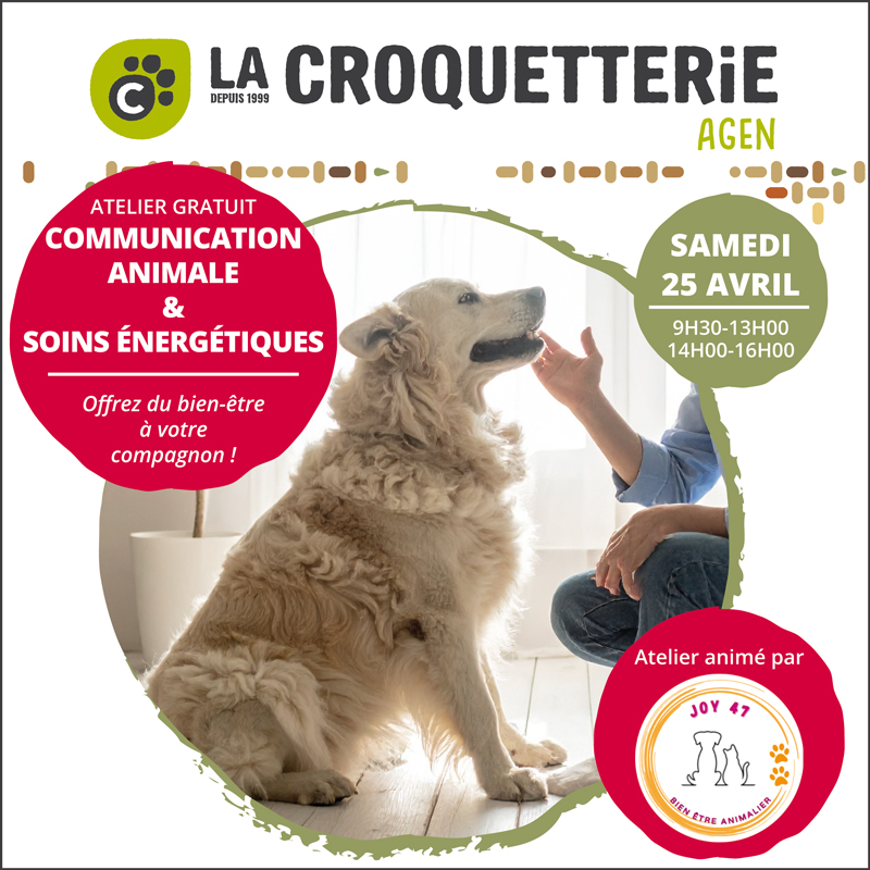 FB CARQUEFOU 07 12 24