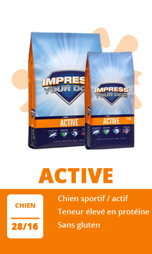 Impress Your Dog Active