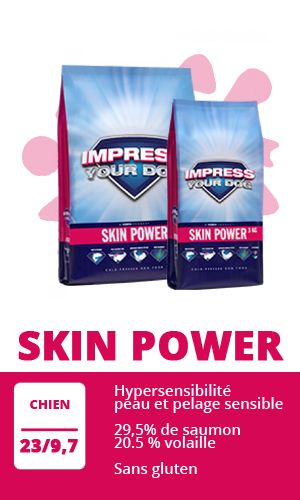 Impress Your Dog Skin Power