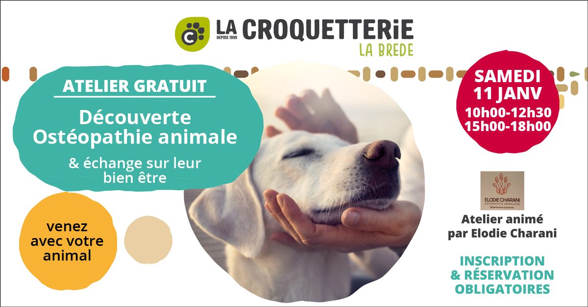 Ostéopathie animale samedi 11 janvier