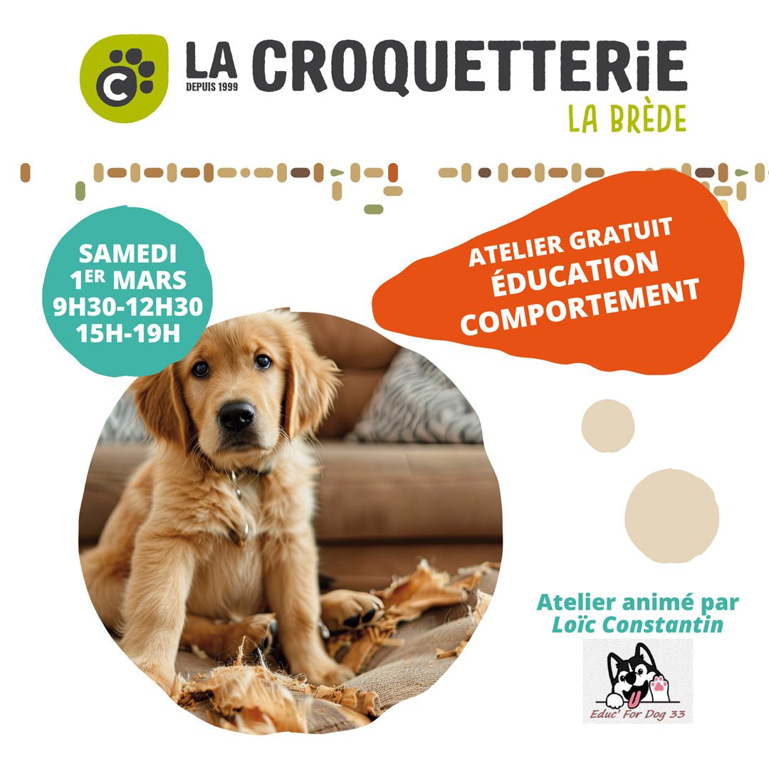 Education-Comportement - samedi 1er mars