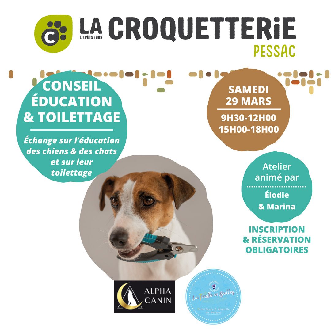 Conseils éducation & toilettage samedi 29 mars