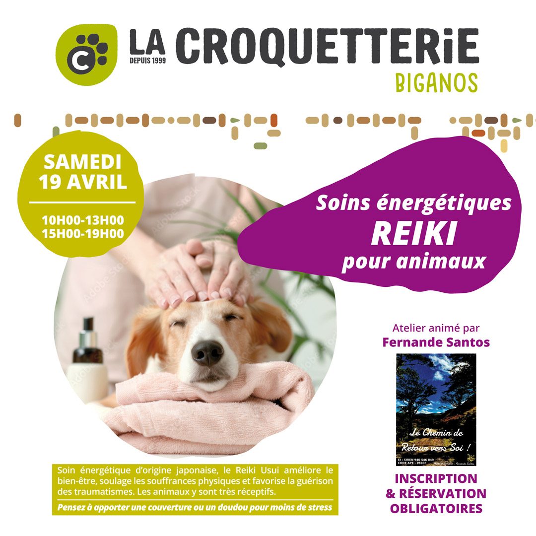 Reiki pour animaux samedi 19 avril