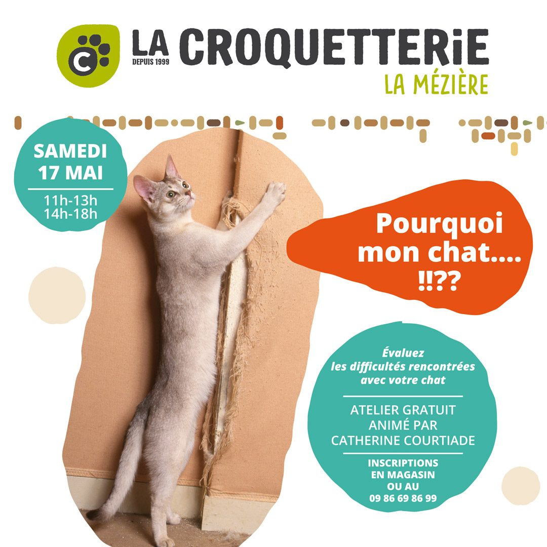 Comportementalisme félin samedi 17 mai