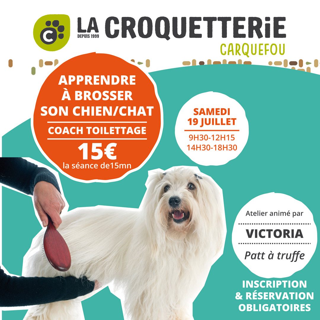 Atelier brossage / coaching toilettage 19 juillet