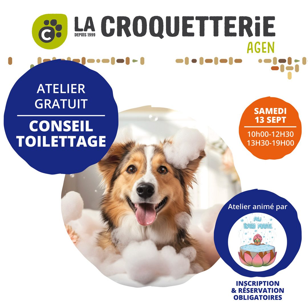 Conseil Toilettage samedi 13 septembre