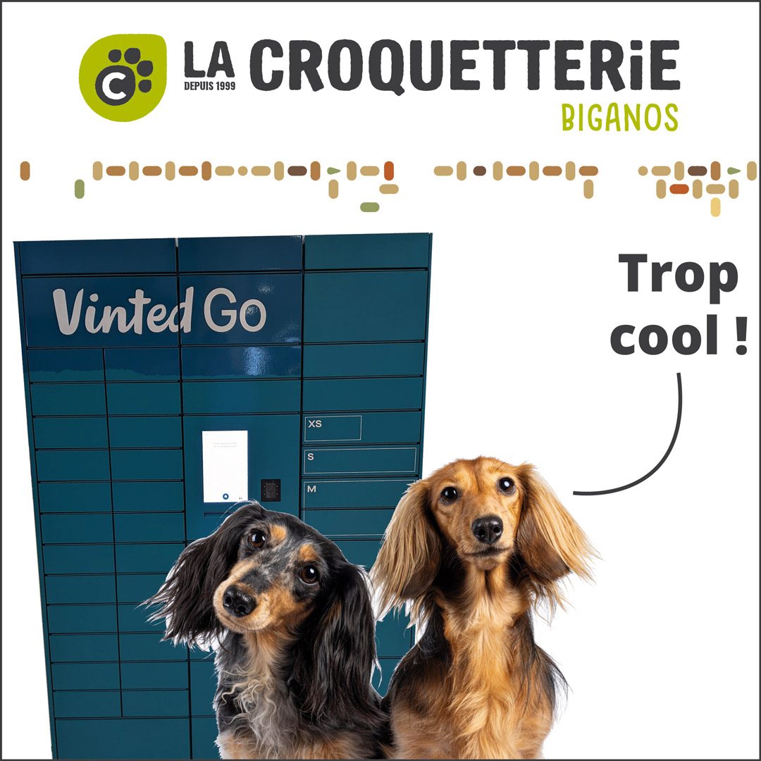 Vinted Go en magasin !