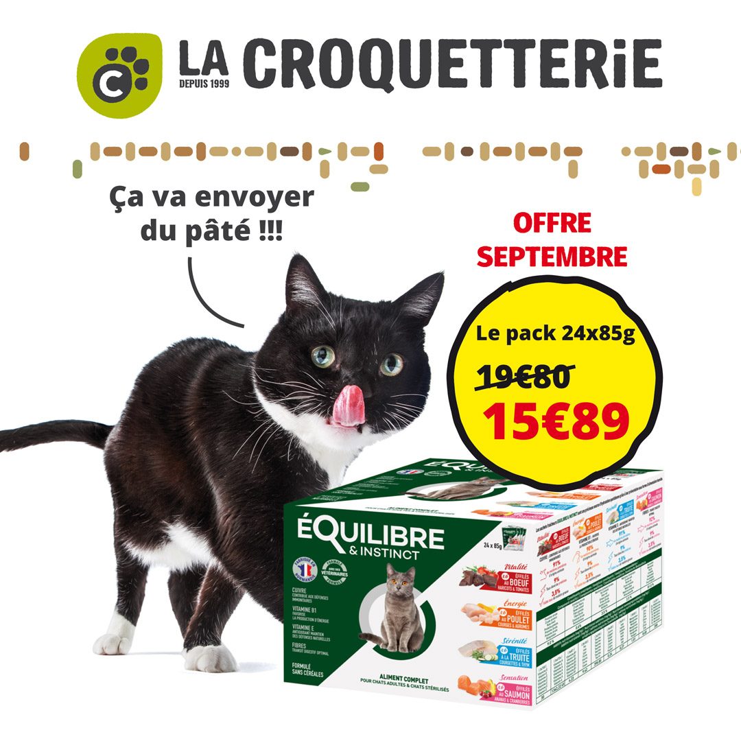 Promo sur les pâtés en septembre !