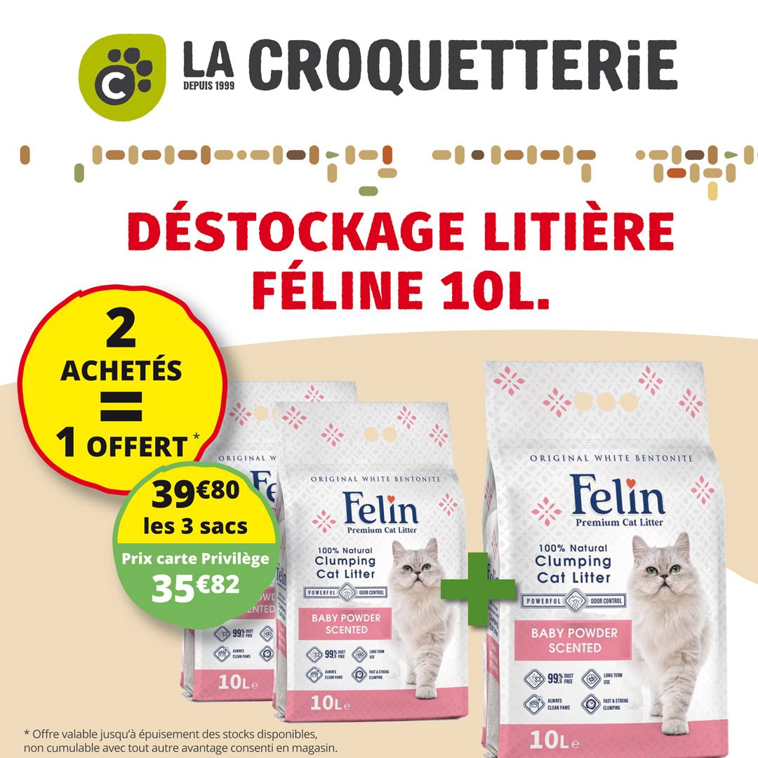 Offre Spéciale pour nos amis félins !