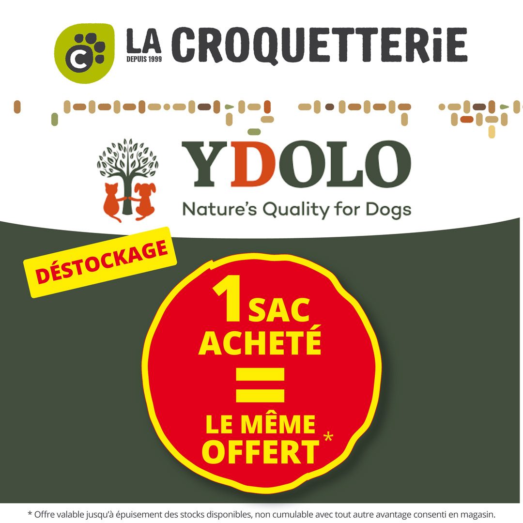 DESTOCKAGE SPÉCIAL CHIENS !