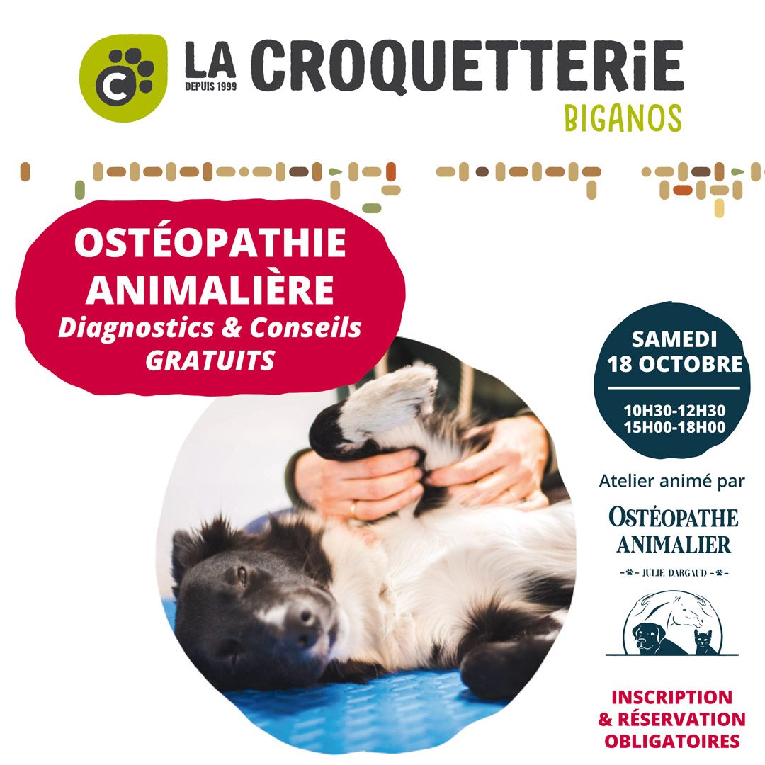 Ostéopathie animalière samedi 18 octobre