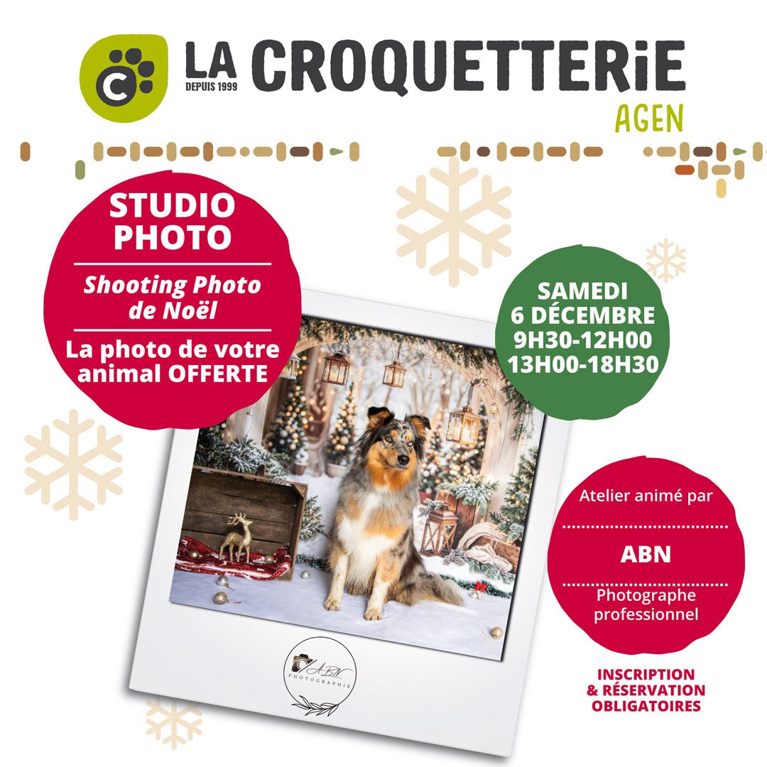 Shooting Photo de Noël