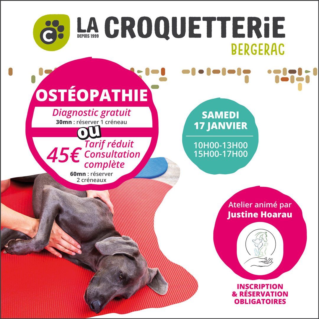 Atelier séance découverte ostéopathie