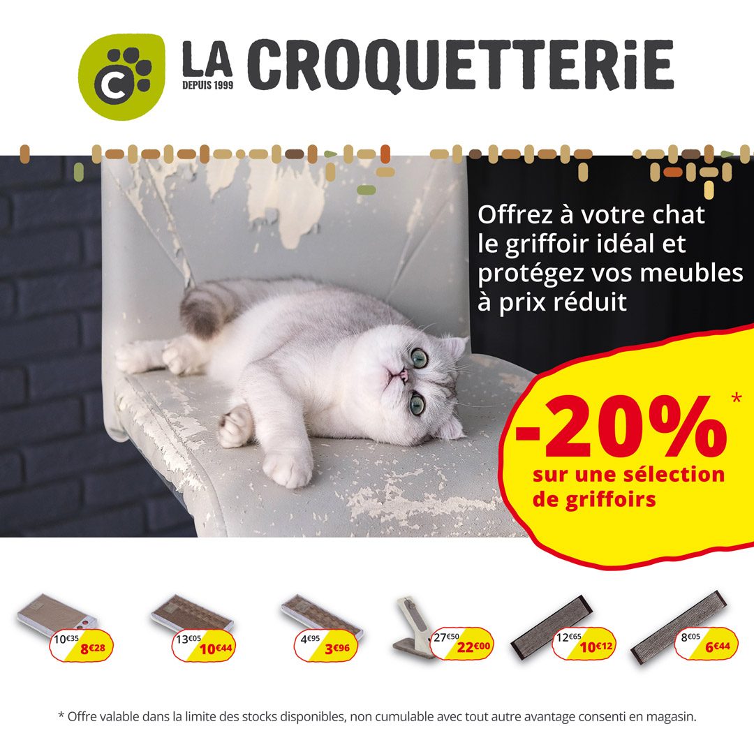 -20% sur une sélection de griffoirs