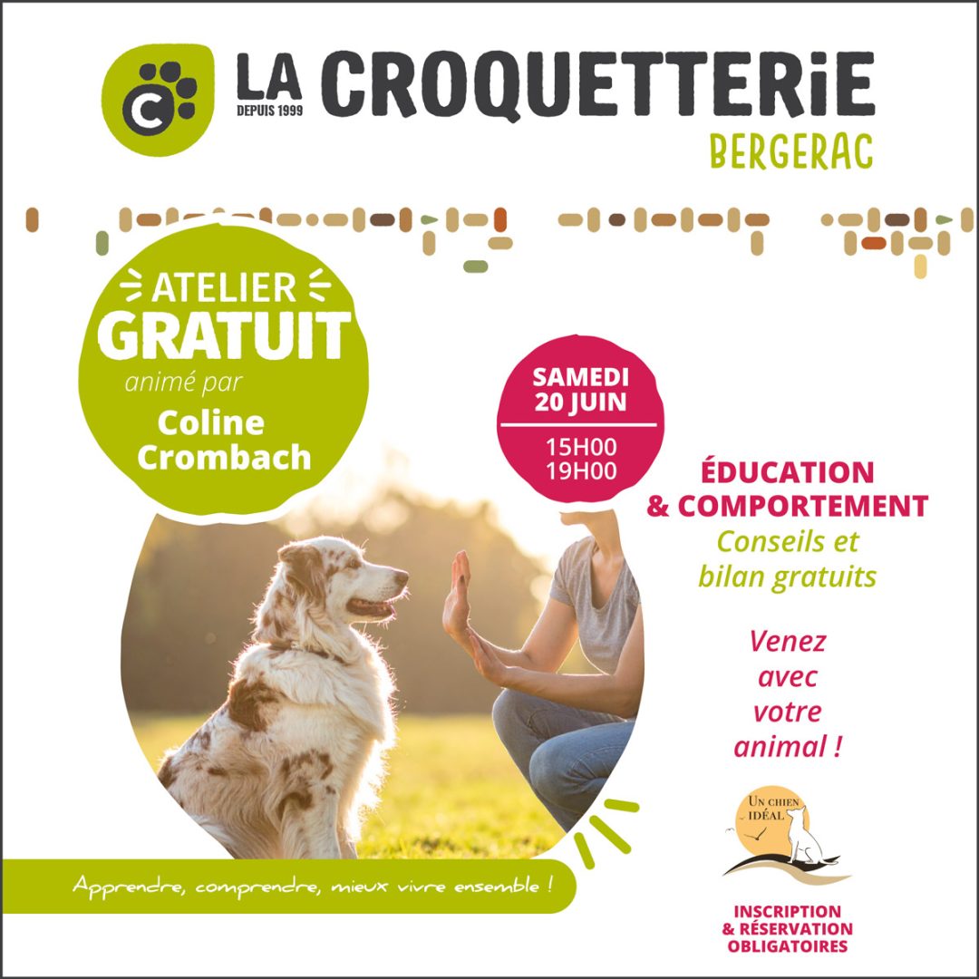 Atelier gratuit Éducation & Comportement