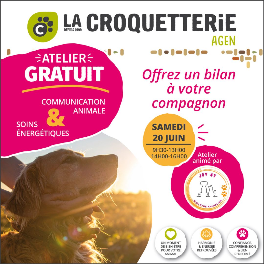 Atelier gratuit Communication animale