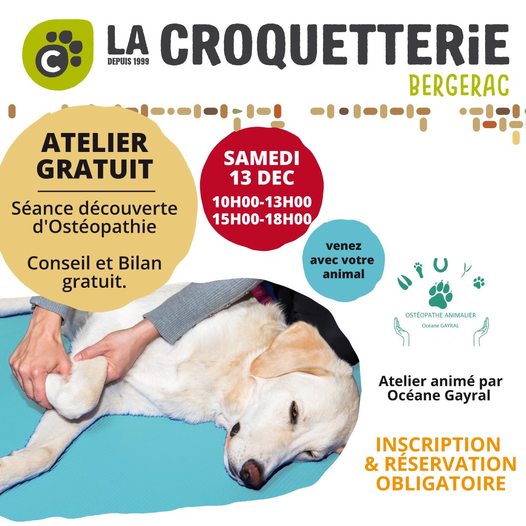 Atelier gratuit découverte ostéopathie