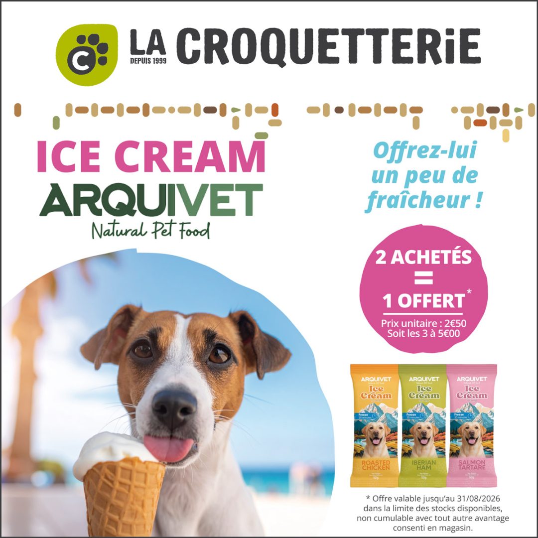 Faites plaisir à votre compagnon avec une pause fraîcheur 