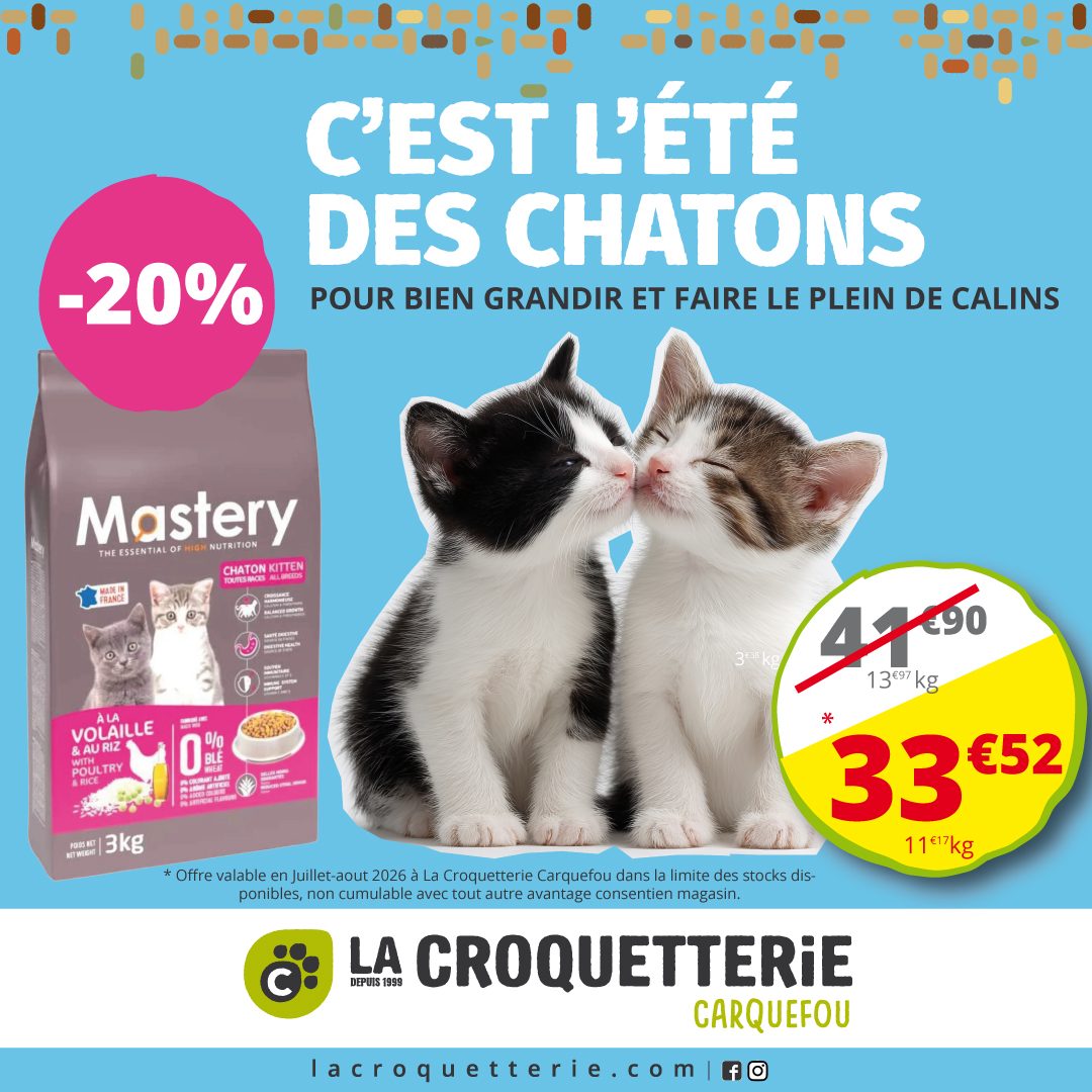C'est l'été des chatons