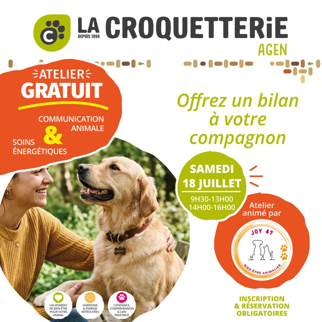 Communication animale & soins énergétiques samedi 18 juillet
