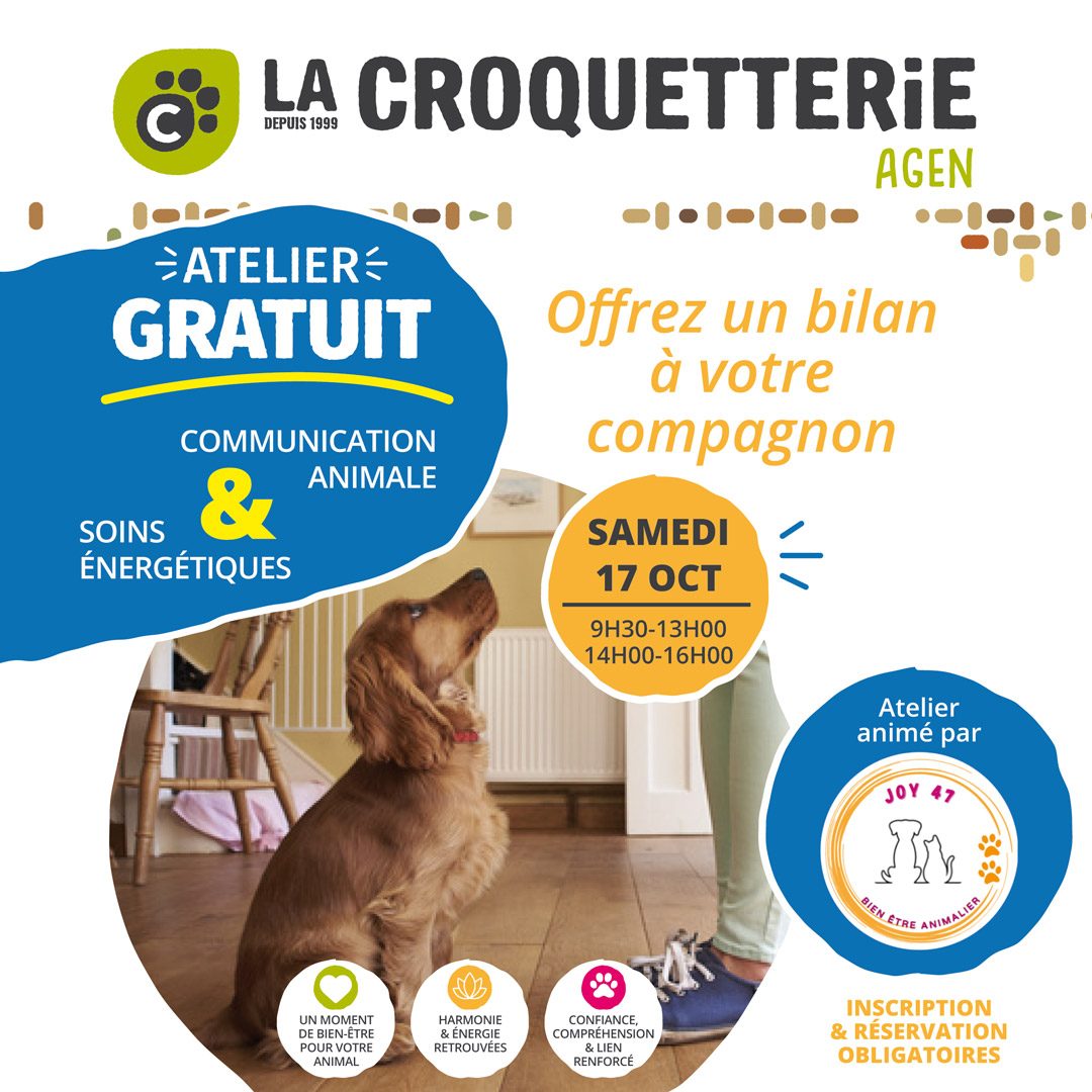 Atelier gratuit Communication animale samedi 17 octobre