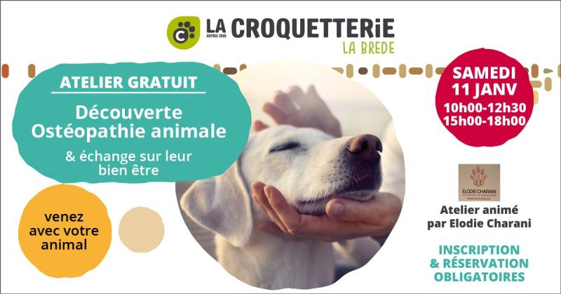 Ostéopathie animale samedi 11 janvier