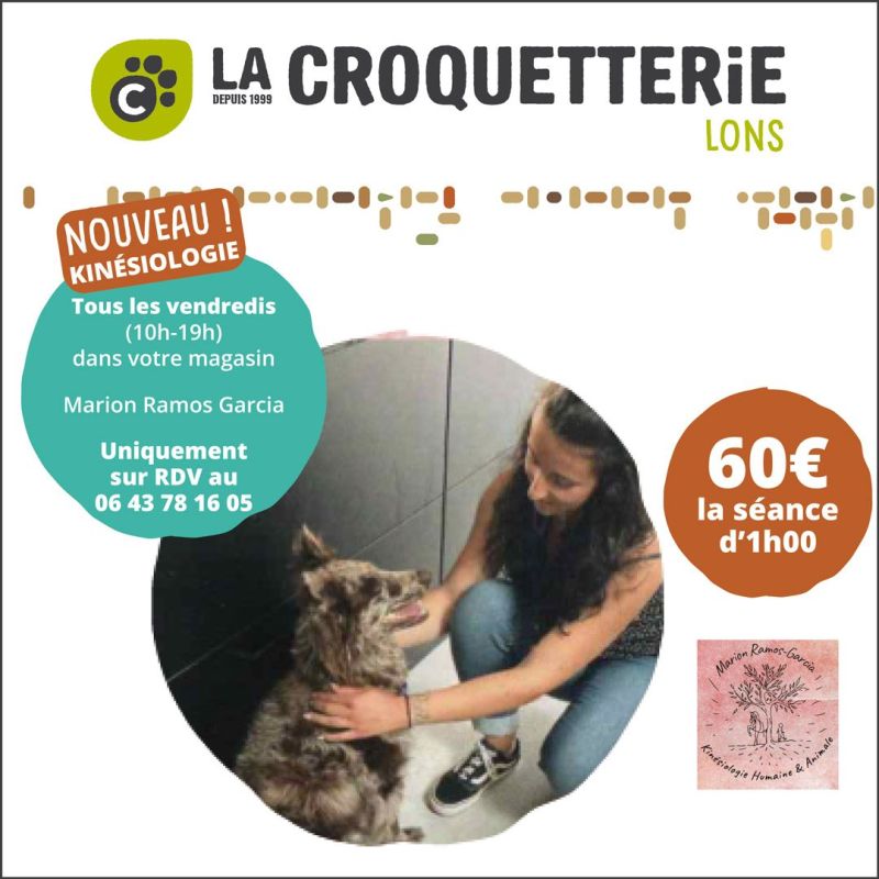 Kinésiologie tous les vendredis dans votre magasin