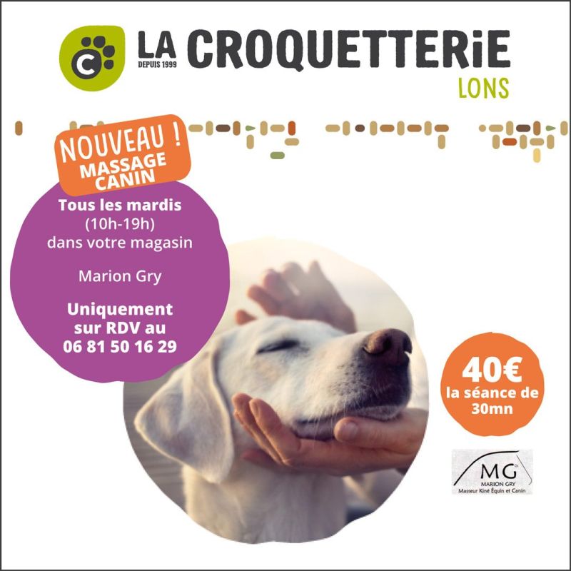 Massage canin tous les mardis dans votre magasin