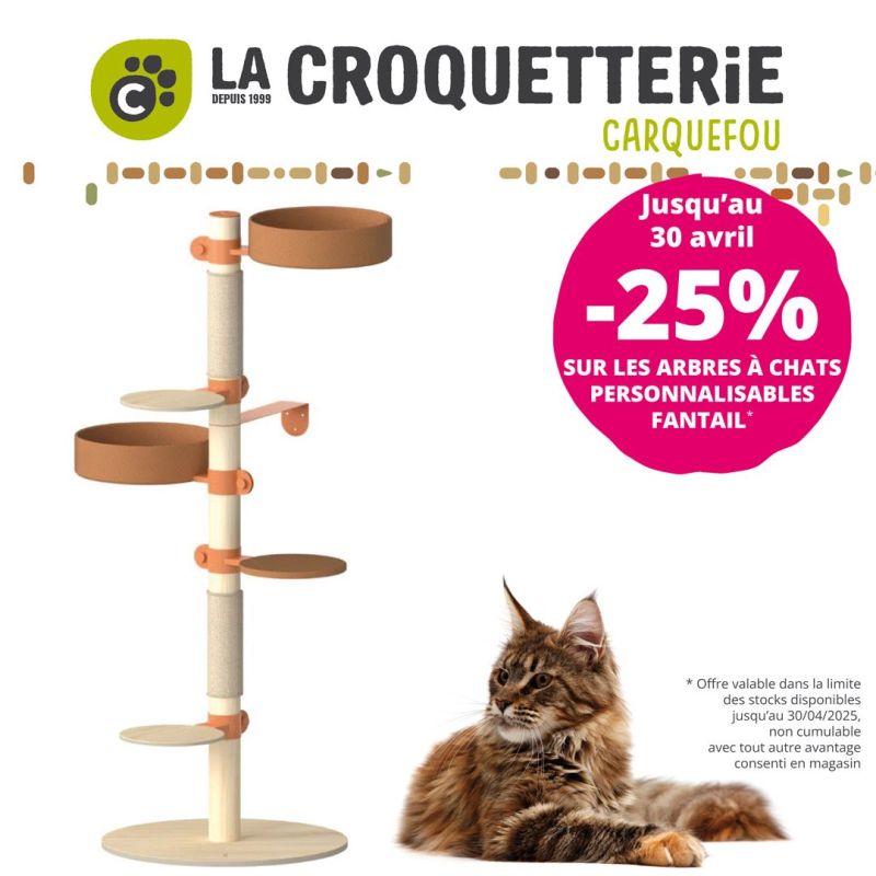 25% de remise sur les arbres à chats