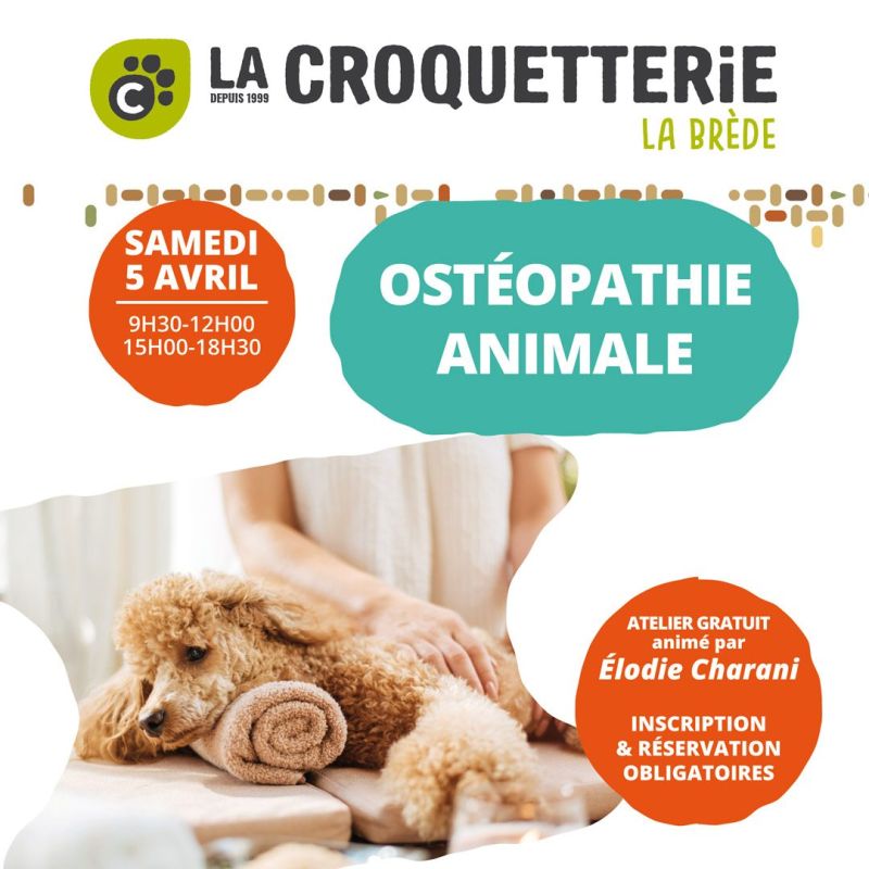 Atelier gratuit Ostéopathie animale samedi 5 avril
