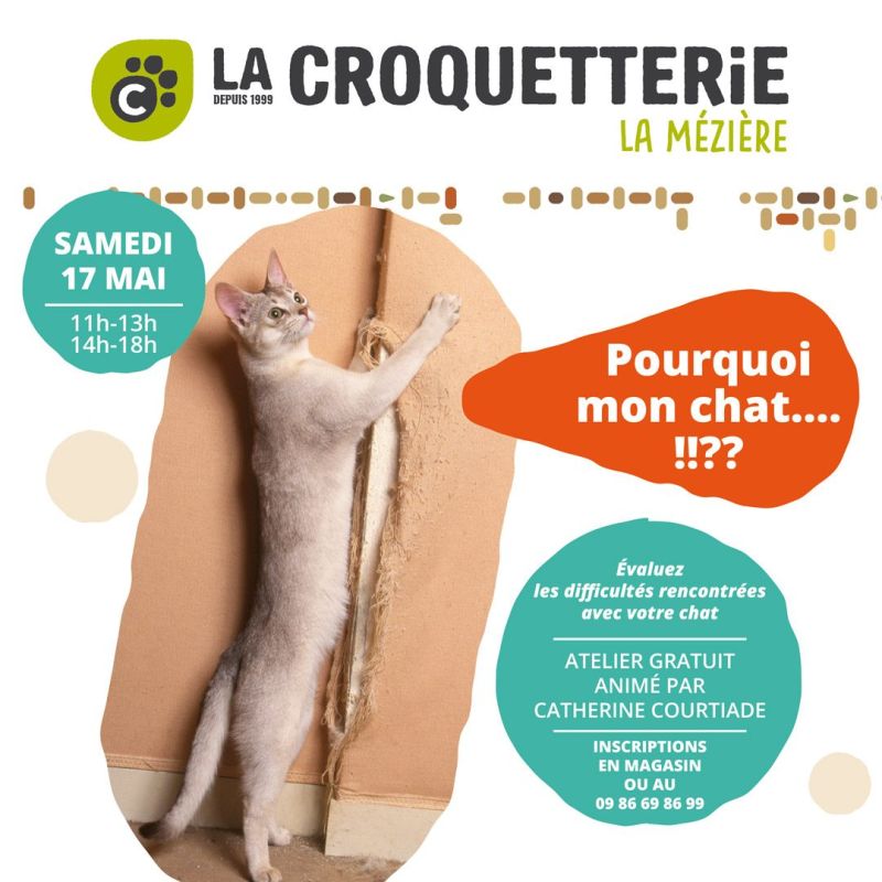 Comportementalisme félin samedi 17 mai
