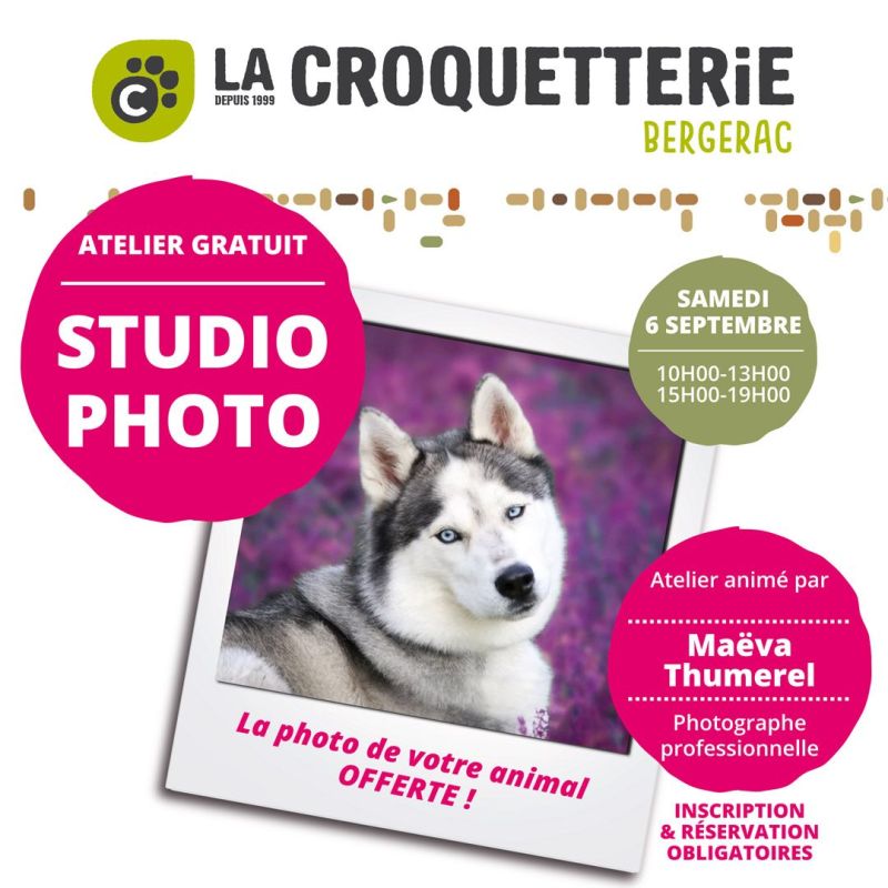 Studio Photo samedi 6 septembre