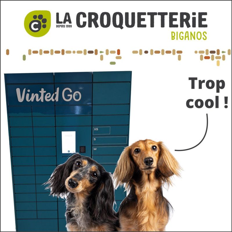 Vinted Go en magasin !