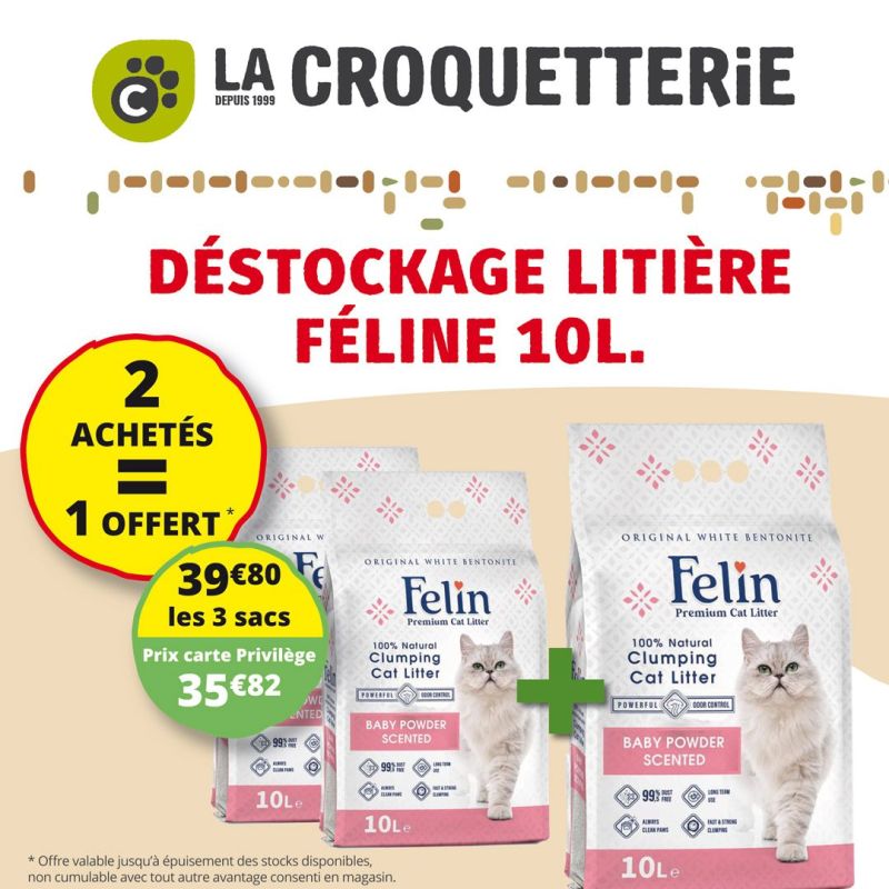 Offre Spéciale pour nos amis félins !