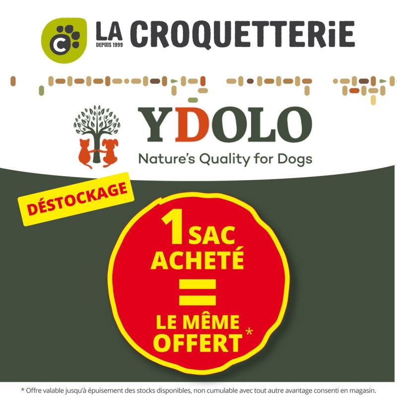 DESTOCKAGE SPÉCIAL CHIENS !
