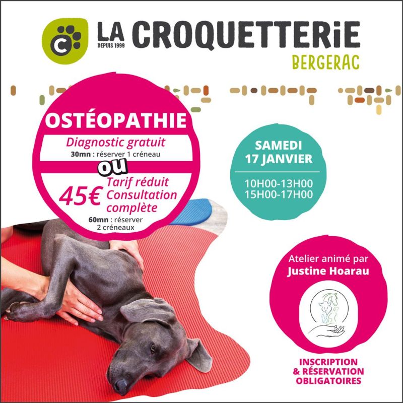 Atelier séance découverte ostéopathie