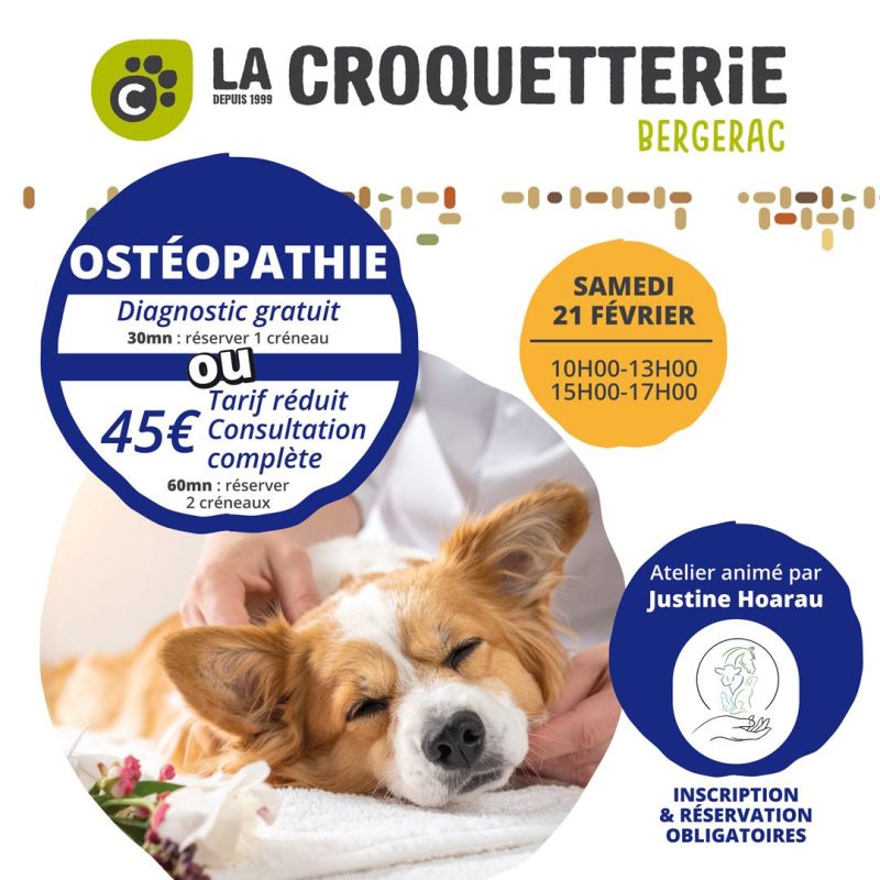Atelier ostéopathie