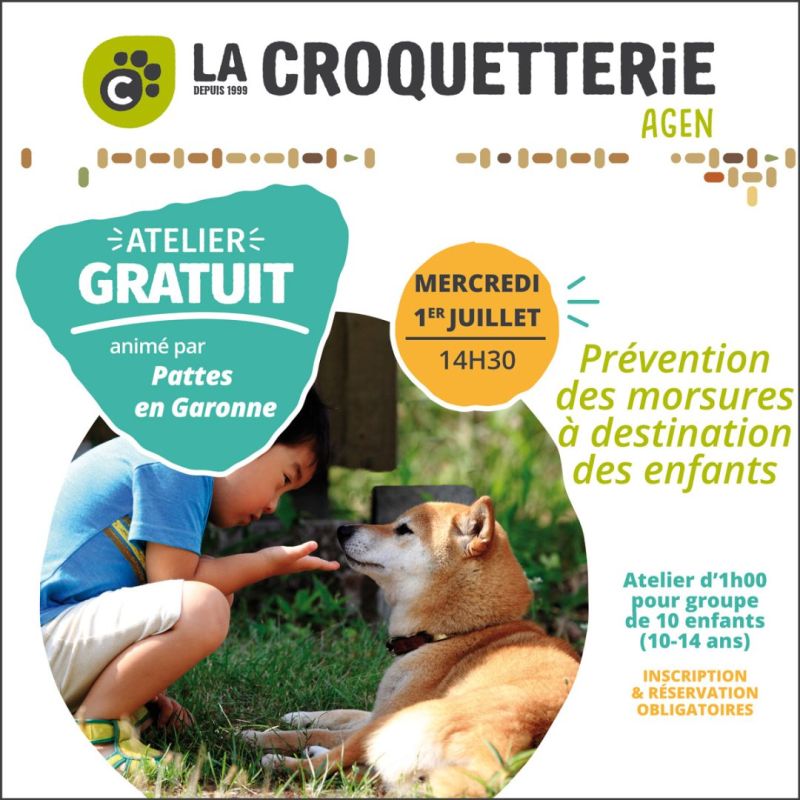 Atelier gratuit Prévention des morsures 